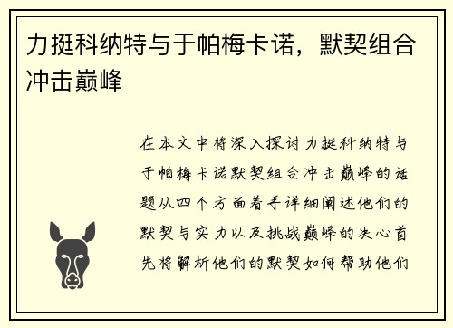 力挺科纳特与于帕梅卡诺，默契组合冲击巅峰